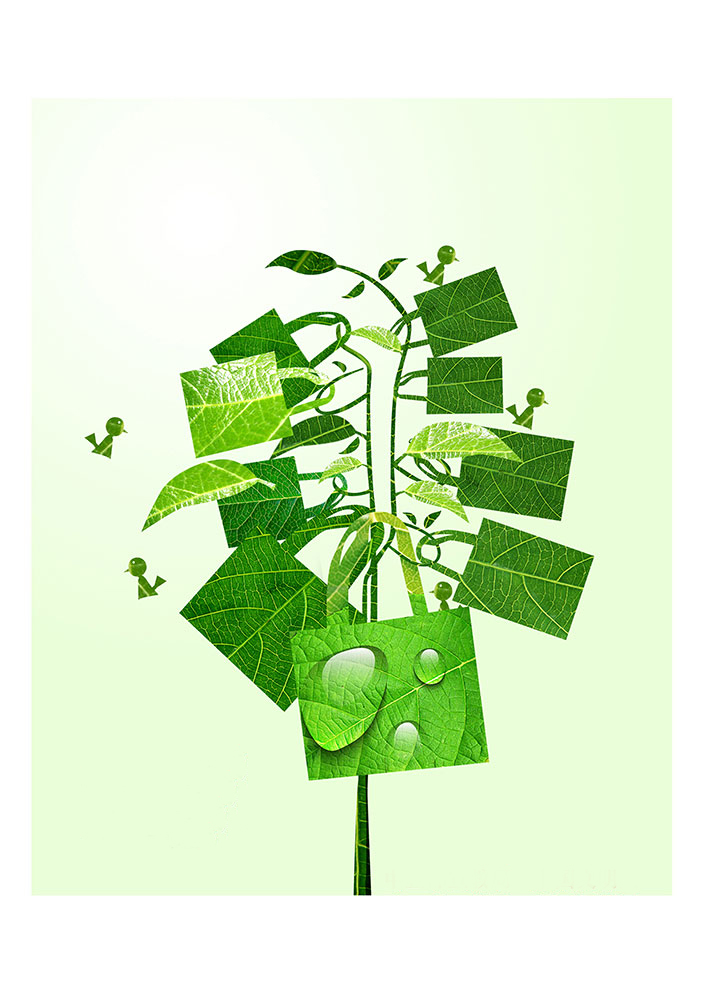 一花一世界，一個環保袋一抹綠