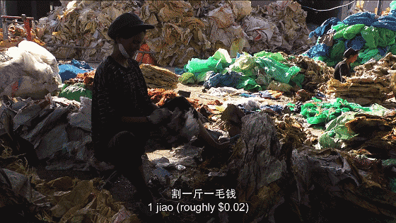 分揀垃圾,拿命換錢 分揀垃圾,拿命換錢