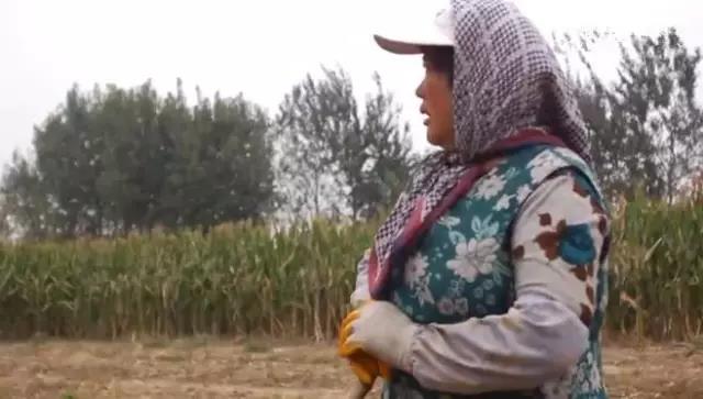 眺望的眼神 眺望的眼神