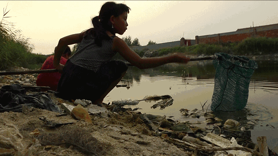 河邊抓魚的小孩 河邊抓魚的小孩