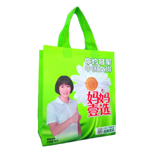 豎款手提袋設(shè)計模板